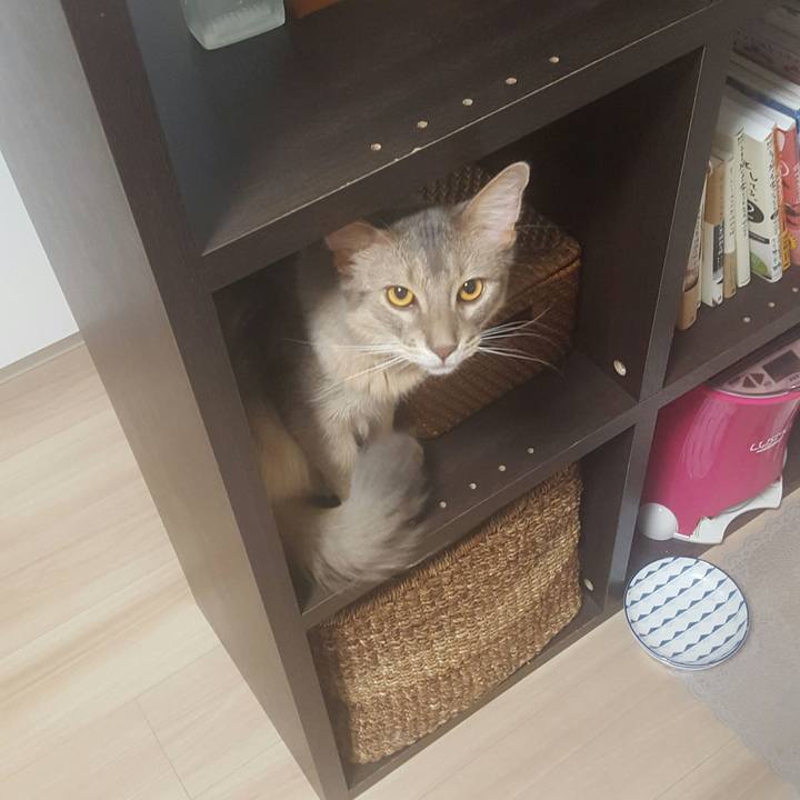 2725a034 80e8 409f ac16 2c0400f824c6