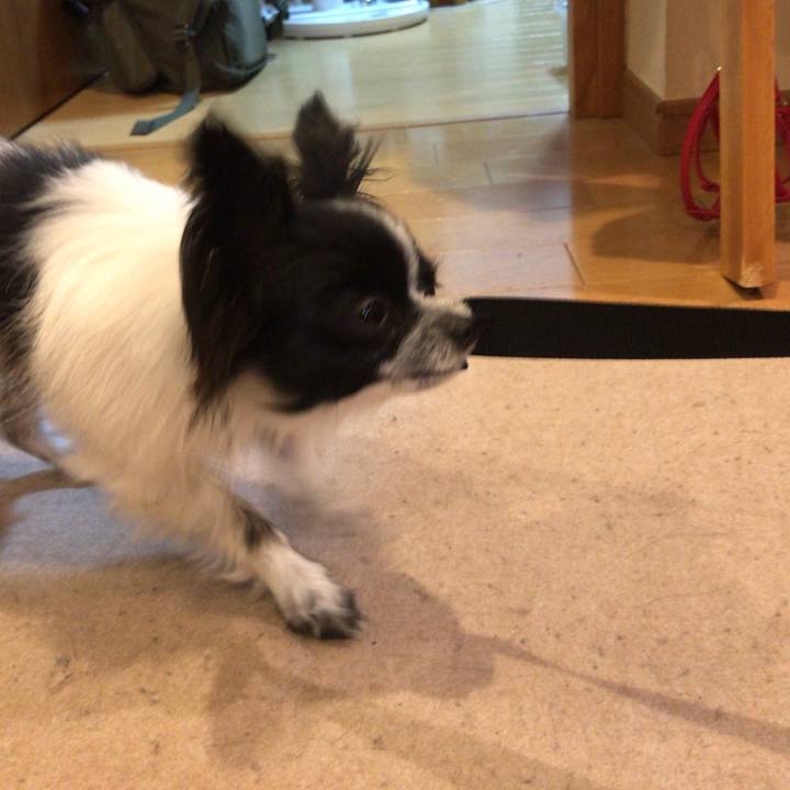 2725cd00 af15 4d4f aebd 950792e44986