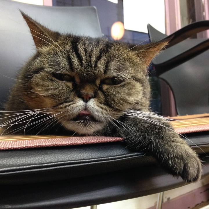 2726b6f2 1119 464c a932 6e8cd3484a82