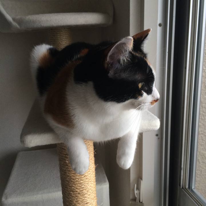 2726bb65 8c63 4f0f beba 33633fd0a580