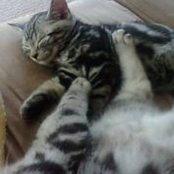 2726dfd3 3aba 47b8 9bea db98bfd08679