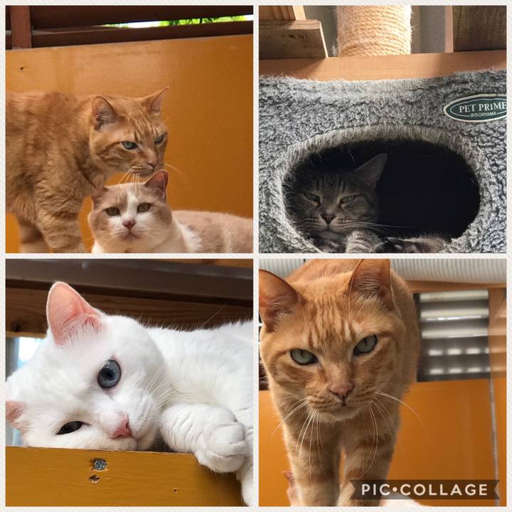 2726f9df 7961 4578 b755 ad5dfe84cb39