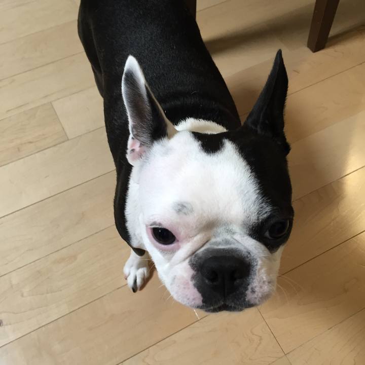 27271061 f65e 46f1 9d9b b8a5cad27fa1