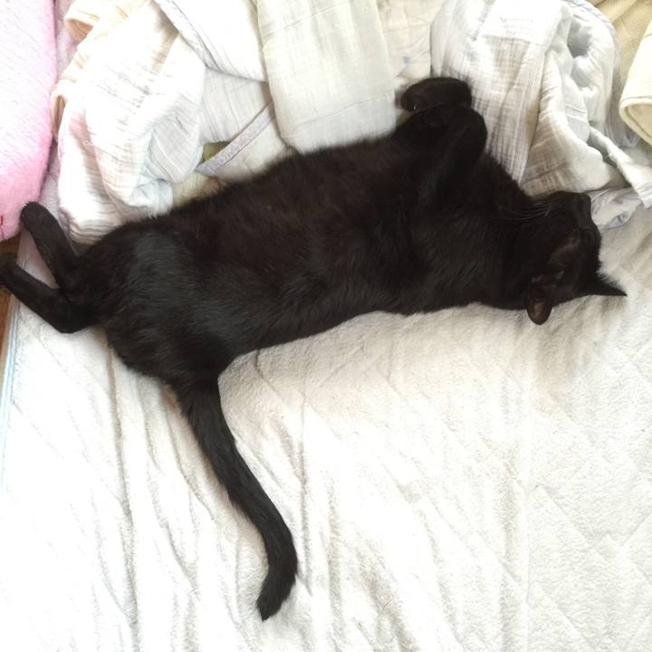 272724c7 378c 4aad 909b 4c77bb7eca44