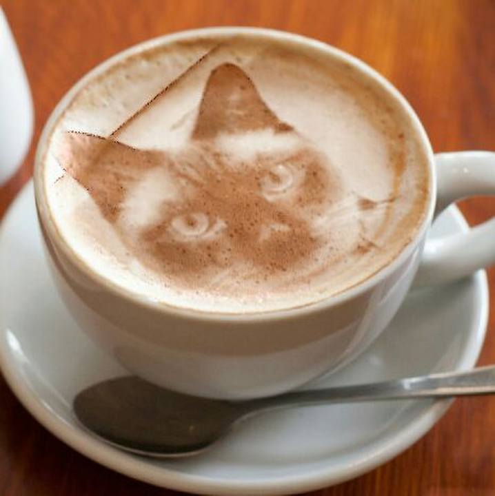 272752ef e470 4971 b073 93531a1861c7