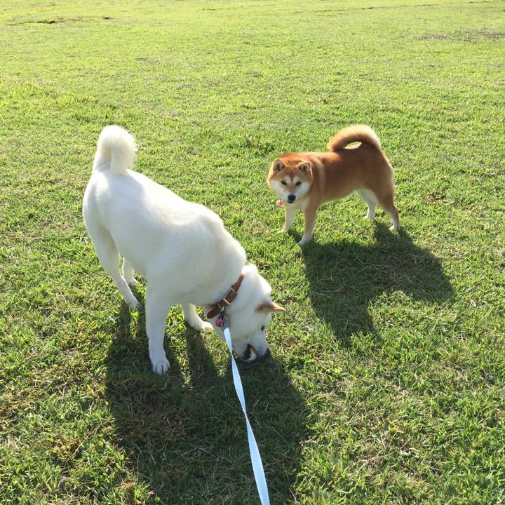 2727f874 4e5d 4de3 a77b 89c07553bf61