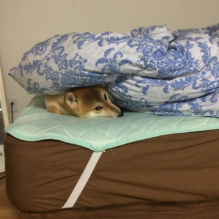 2728056c e5a2 4369 911d 35eda9b6c7ca