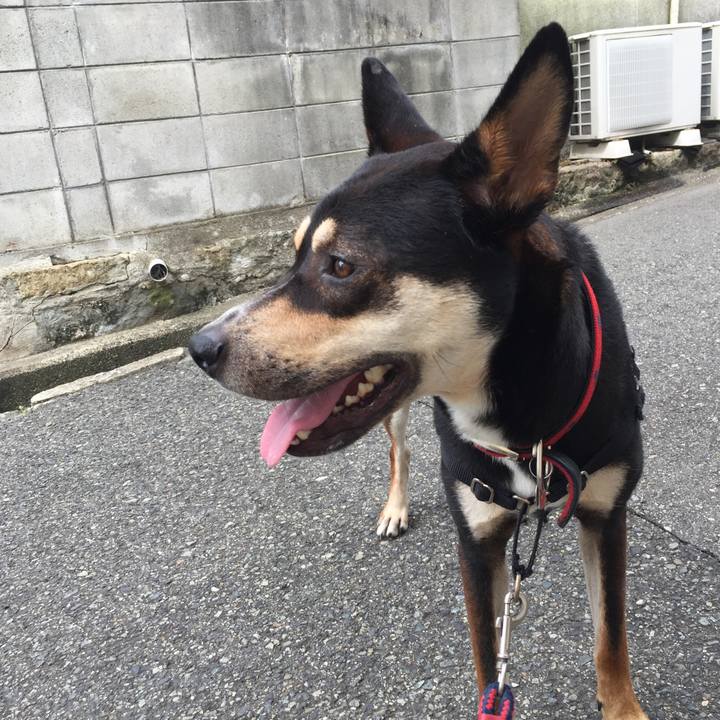 27280c63 4579 403a 94ed b17d158f24a3