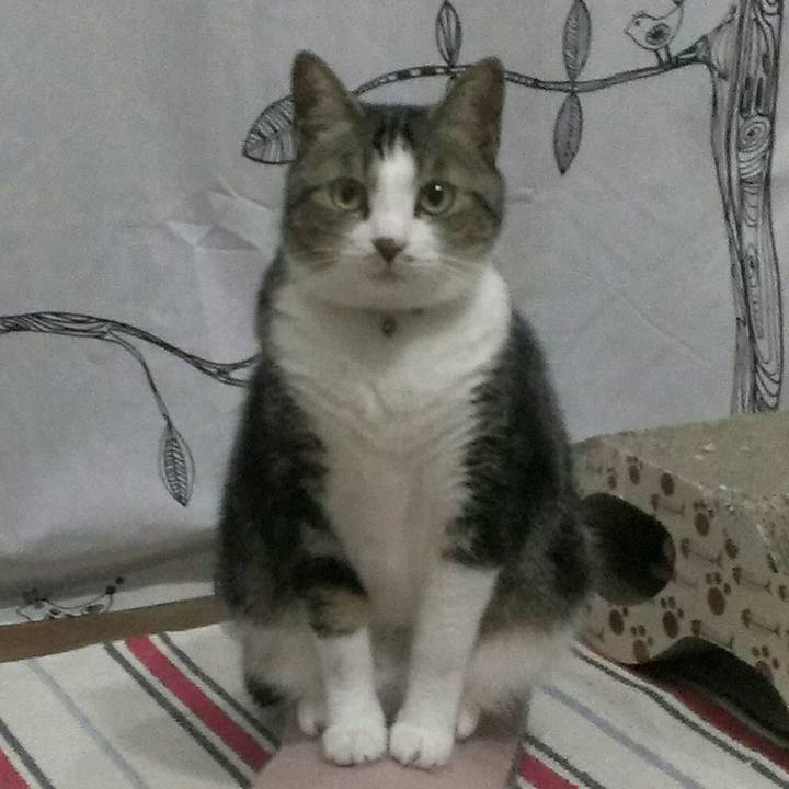 27288517 0d55 4259 9fad ff603f3091ab