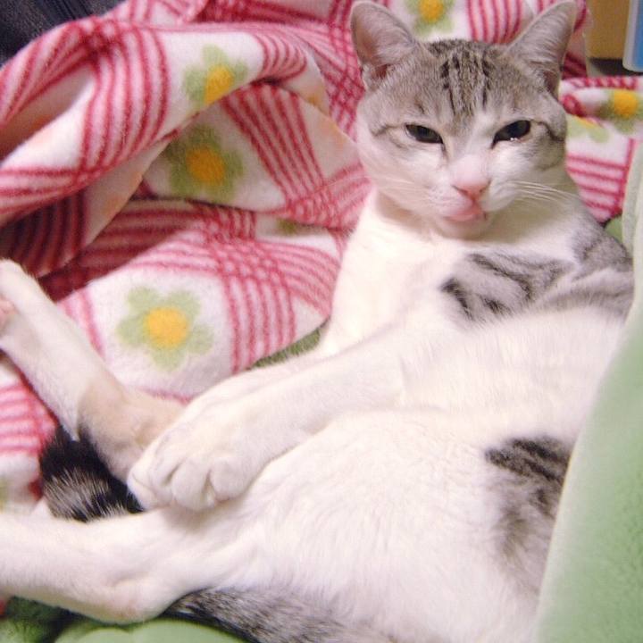 2728a152 c107 4aa5 a622 2c26ba80f50c