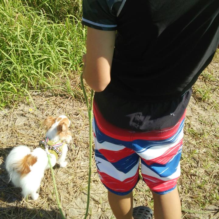 2728ba72 f5b0 42ab b748 94b99c33ca5c