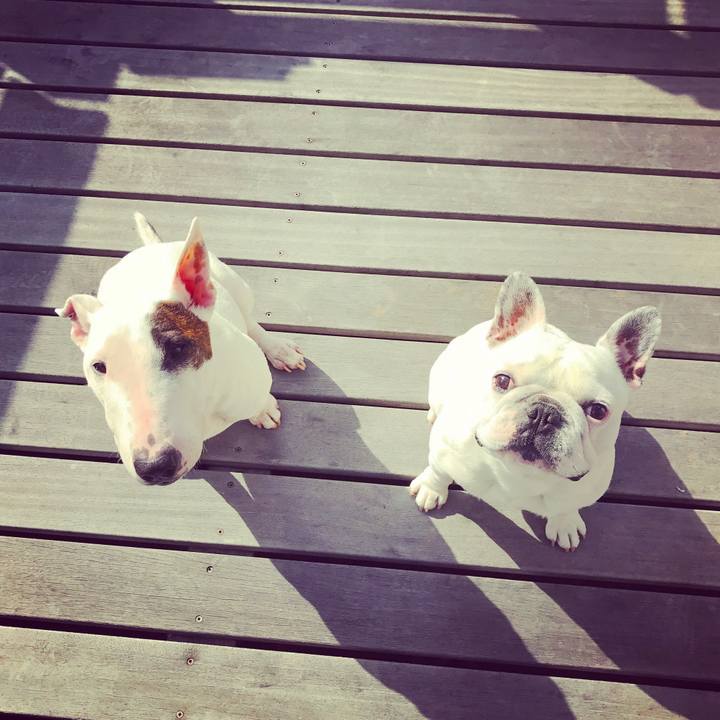 2728d569 af39 44c1 9594 06b2394d5395