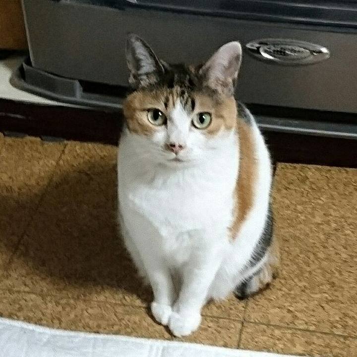 2728f5f8 c269 413f 8409 b435eed882dd