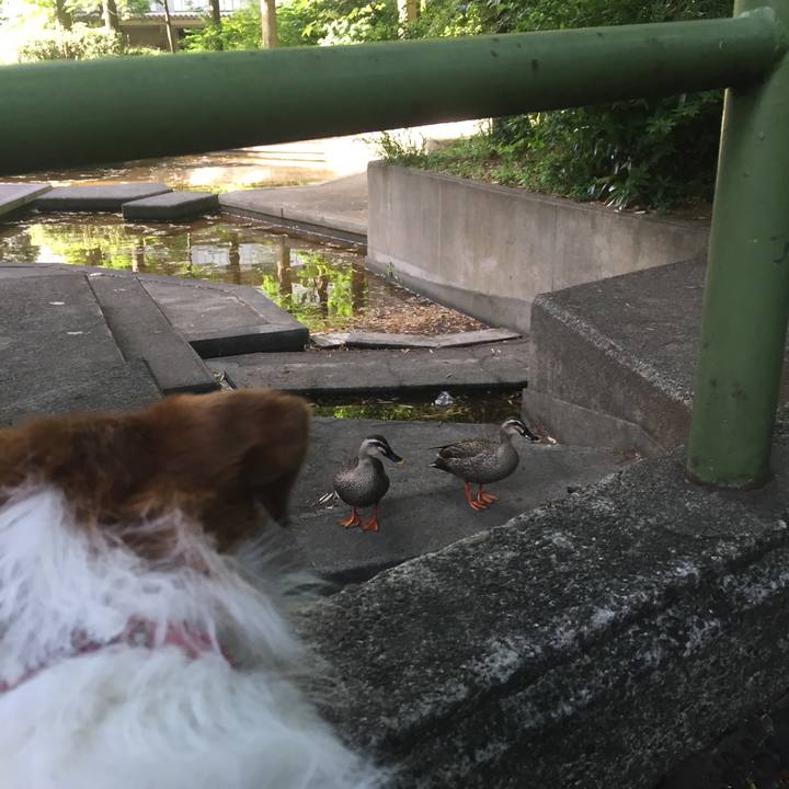 27296f2d 7064 42dd b517 8ca7290f8cdc