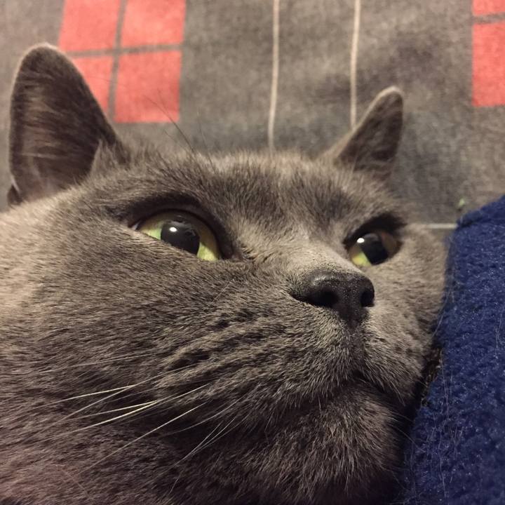 27298a3f 53e5 4f7e a486 675700fc3cca