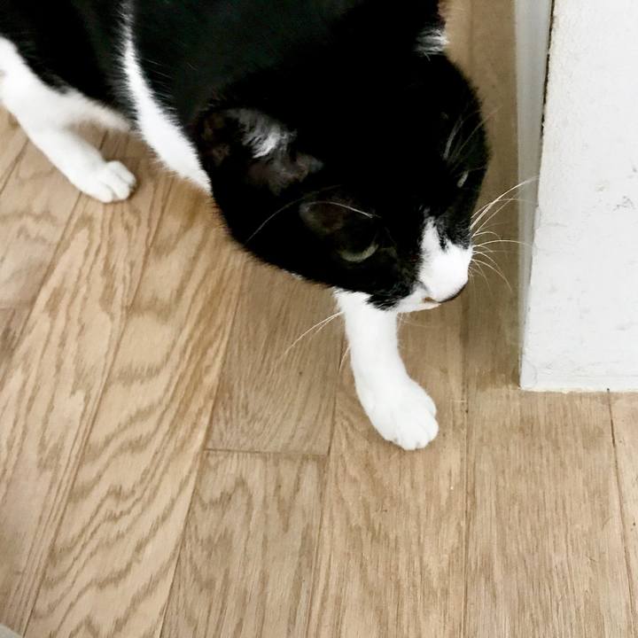 2729be4b 7dcc 494a a2cc 623b82f6aa1d