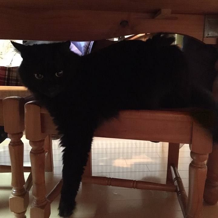 2729e7d5 d144 4b87 8d16 e05310132573