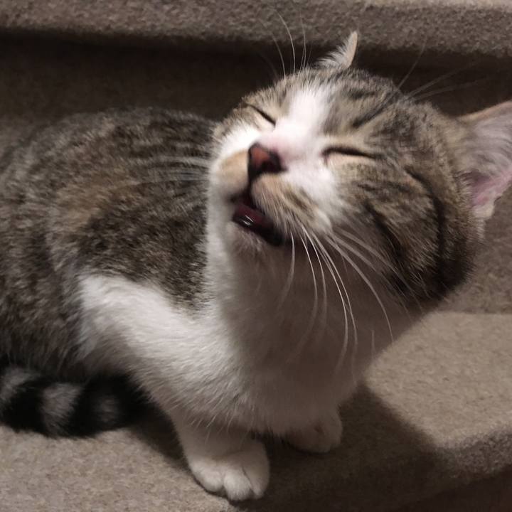 272a02ef 7cf1 45c8 906a 0bf83e73693d