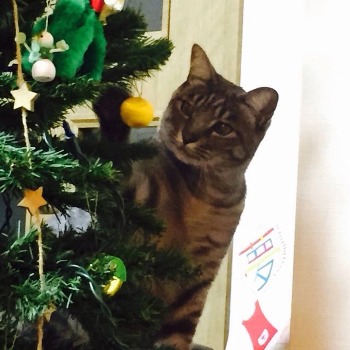 272afb2a ca3e 44b7 953e 29f73d0d0eff