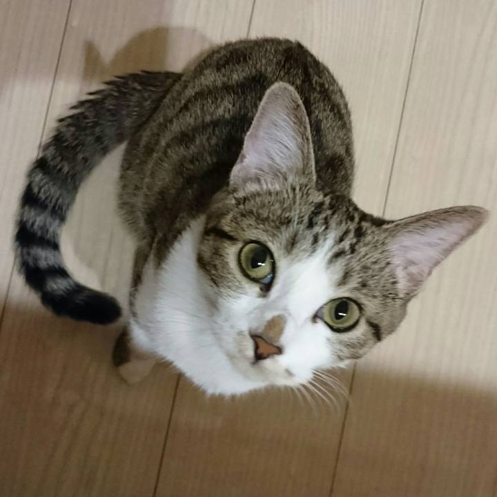 272b31ae b33f 44e3 9619 e406dc79ed19