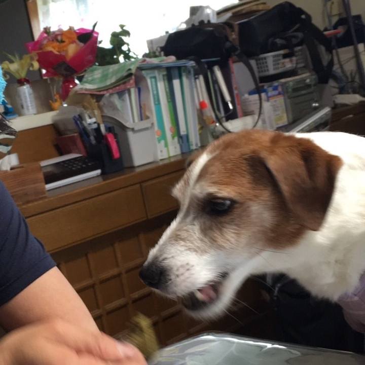 272cfa58 b0c1 4731 a246 00a7195208c9