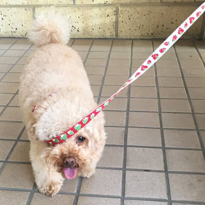 272e40f1 45ee 439a afa2 062e796126da