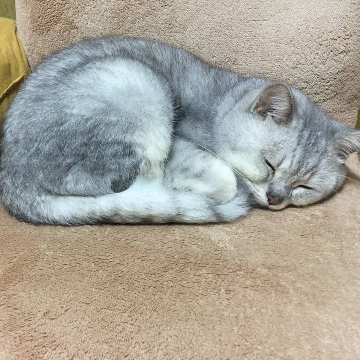 272ed8ff d9ed 4bdc 8551 3bfdc8d05ccc