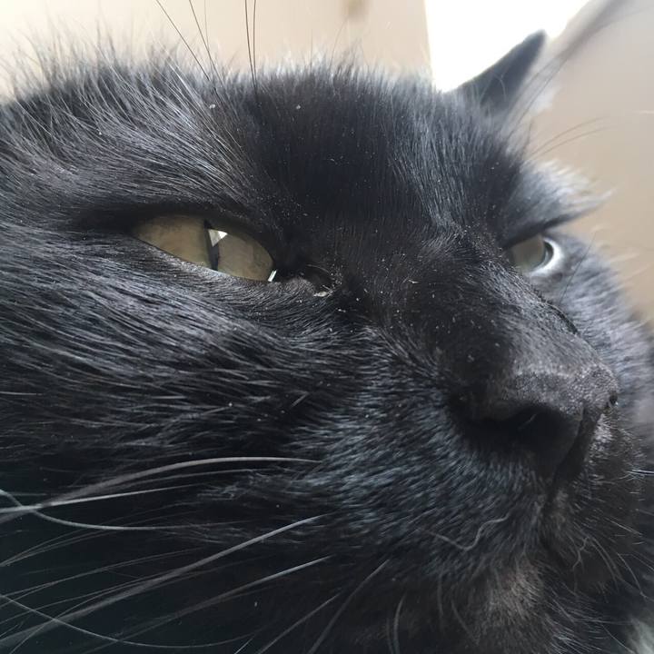 272eedb7 b2ce 4dca 9437 4321583fbcd6