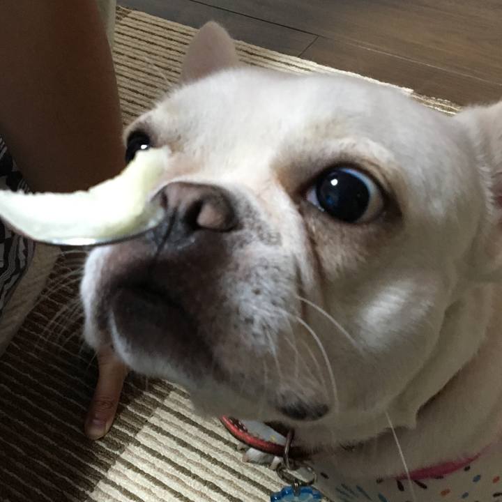 272f2706 cbf4 461f a259 a1cc2da9b675