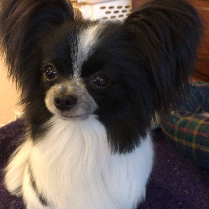 272f38a9 a86a 4306 b3e2 547d7c890d07