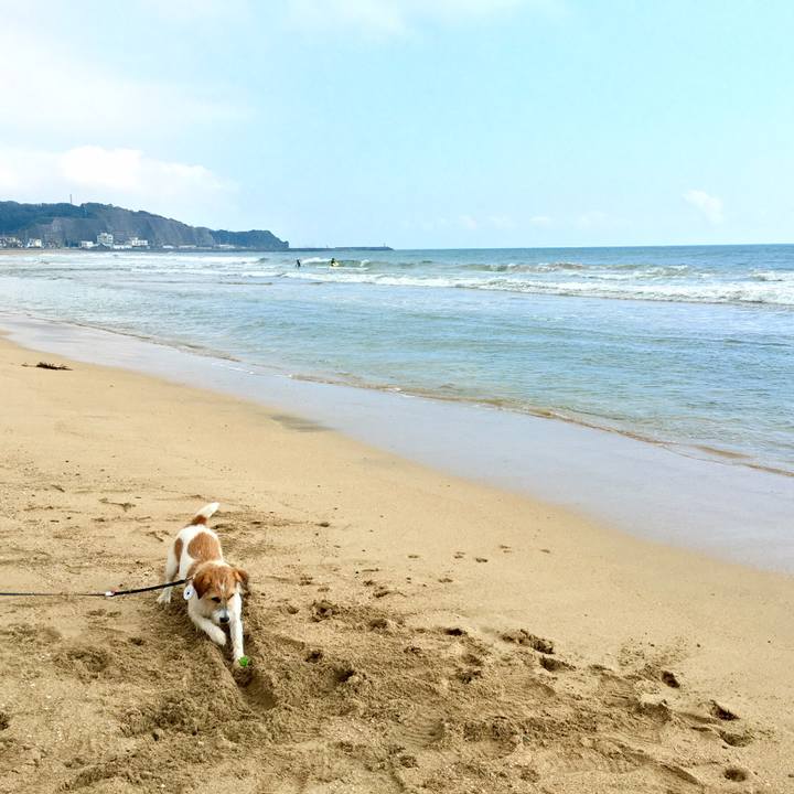 272fe890 c8ef 4e45 89d4 fb1a3dfe73e6