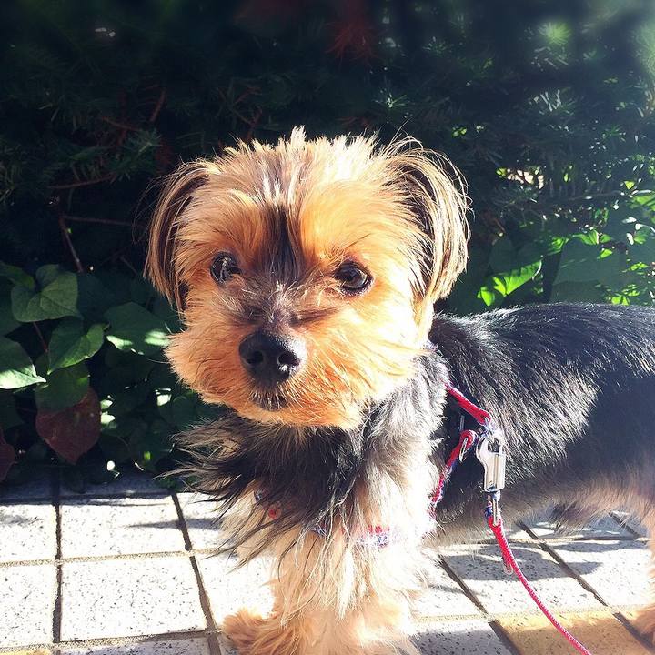 2730d2f3 c5d9 4fd7 9d60 05574b75dd29