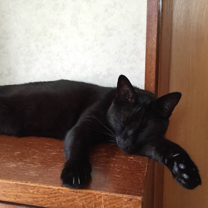 273112ff 3326 4b42 be39 60bd52ccecbe