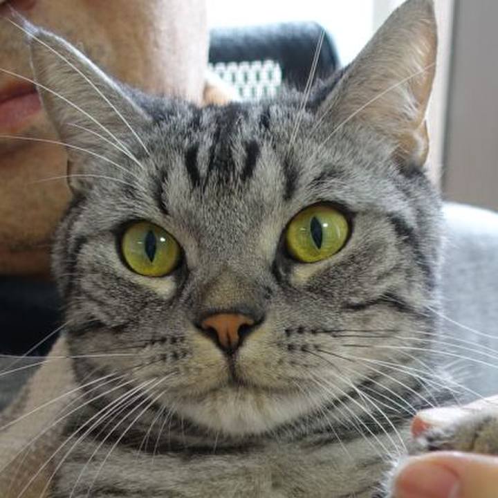 273183f1 994a 4d09 8045 410b952320aa