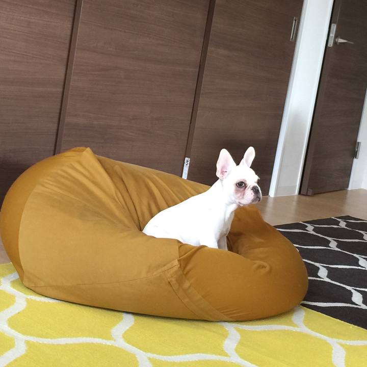 2731dc9e 7de5 4908 a3e8 46139a3f718a