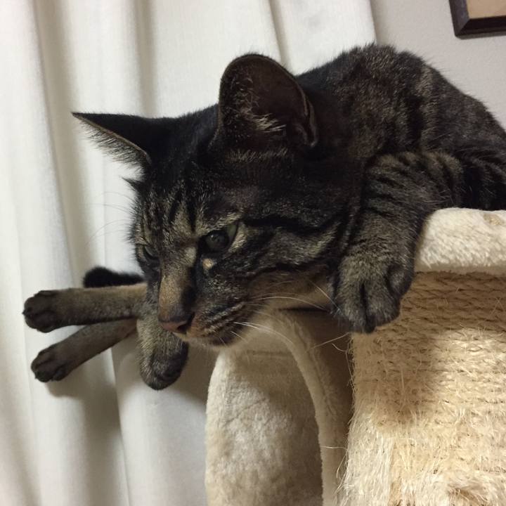 27326f13 945b 44aa a72f 5a3a3cf1d99f