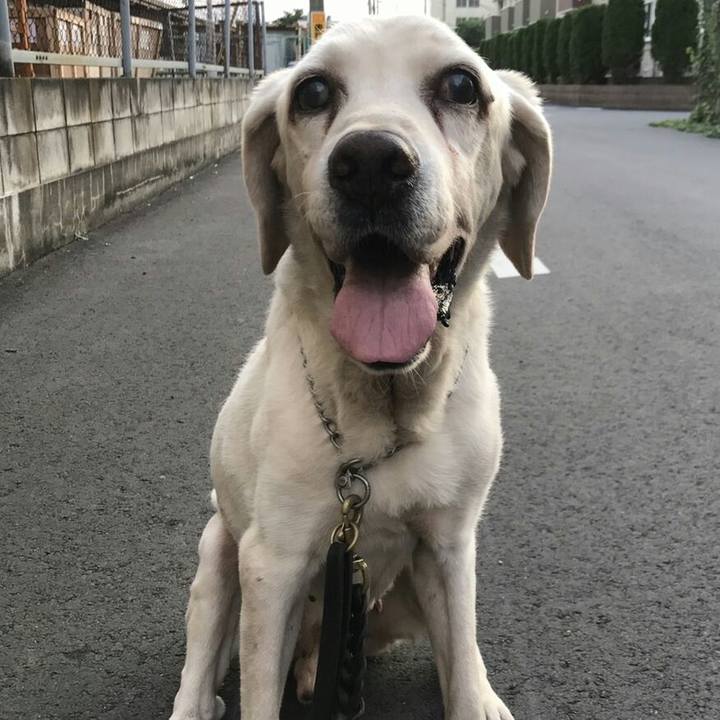 273289dc 0298 4a87 82a1 07ef10b4ac07