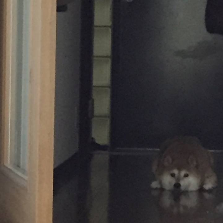 2732d6bf 3e06 44f8 a337 bb9c1a4e22ec