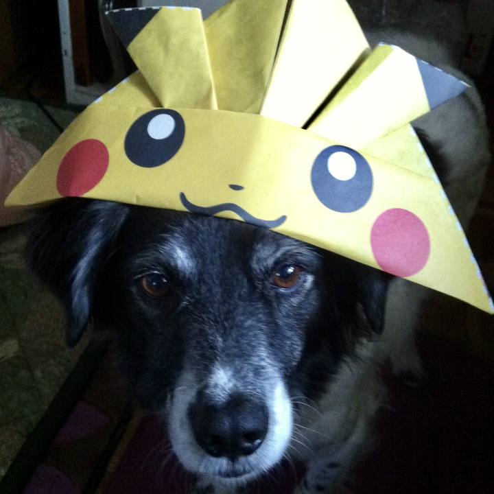 27336424 fb37 47ba 944b 951fd2cb2fa3