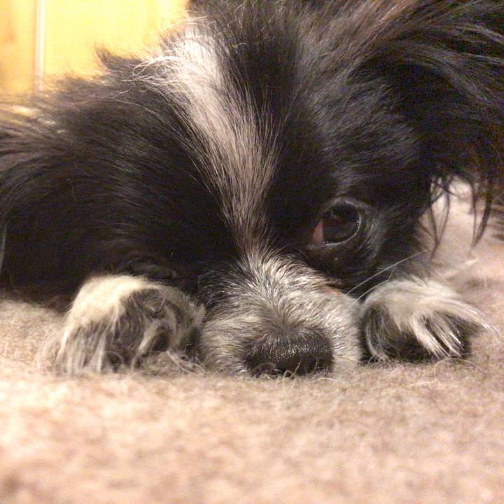 2733e35d 8447 4b29 abeb 4d895181147a