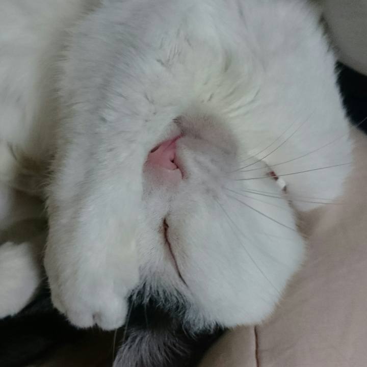 2734110b 95bd 42b8 a4b2 abf22f24fe56