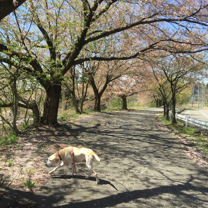 273432e3 1a6a 4a16 8116 fd144be41542