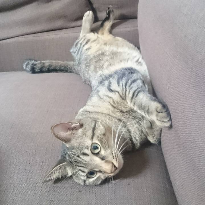 27344c2c 79ef 4a72 b2d4 cd976e426f8b