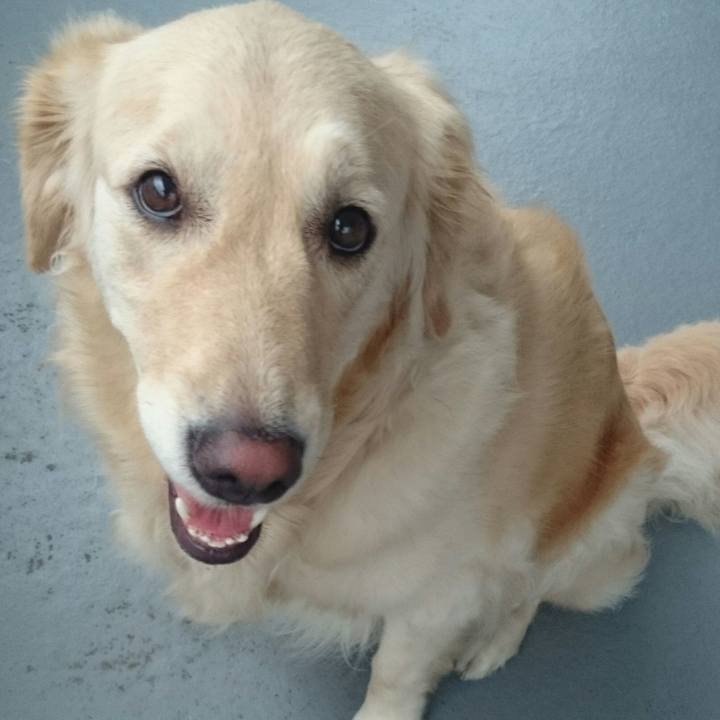 27349996 297d 4e8e b358 e993353a55d0