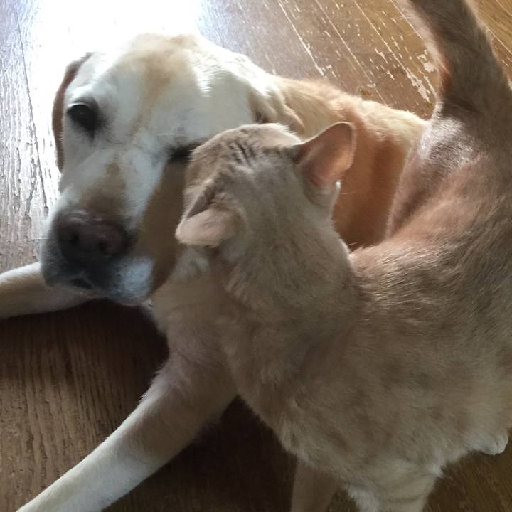 2734b20a 3916 417d 8fa1 acdfeaae913a