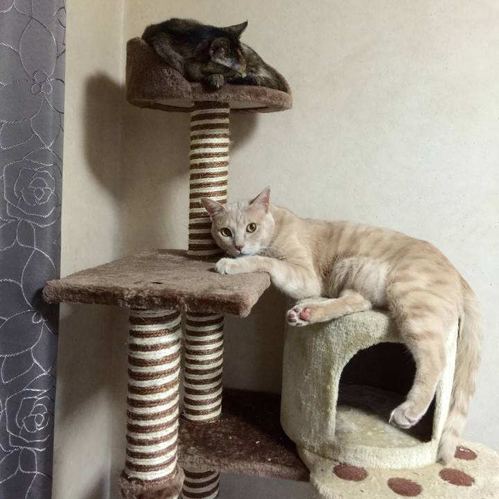 2734cd06 8f6c 4dfd a399 15b8215e0b2f