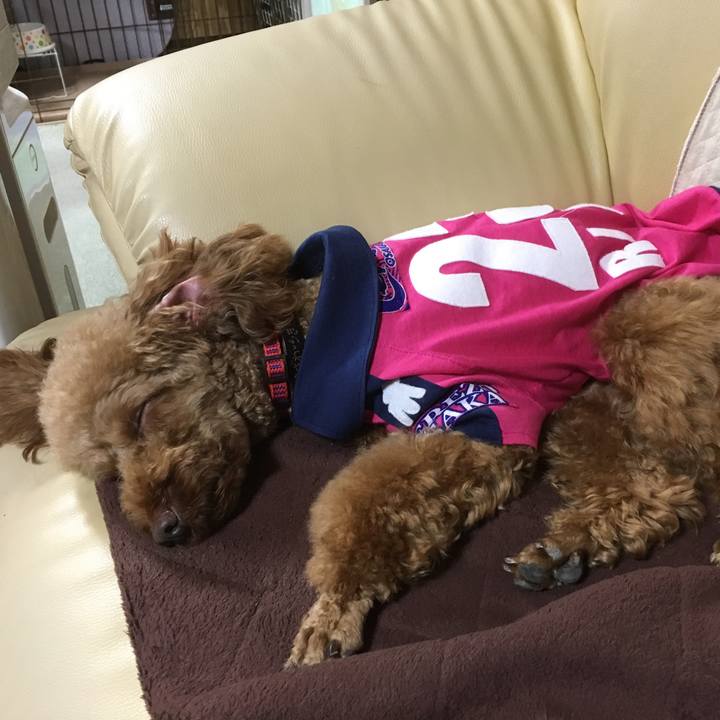 2734ff1a e277 41de acc7 fbac40925b5e