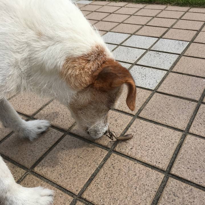 27354ed3 d1e9 4015 b0a7 879992cc6fdf