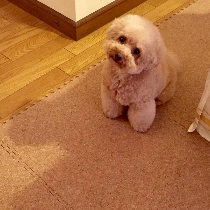 2735756a 64f5 4205 b898 f429bd89a60c