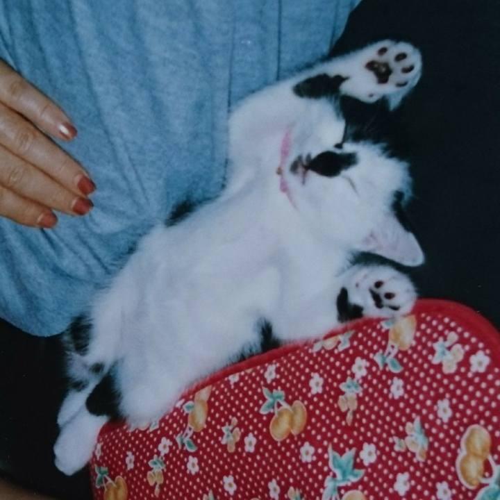 273600a2 9433 4386 9707 5ce7fa85b4d0